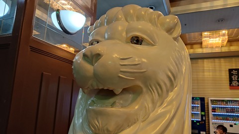 IMG_20220707_192403
