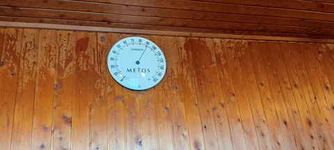 IMG_20220625_101049
