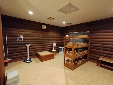 IMG20230714211208