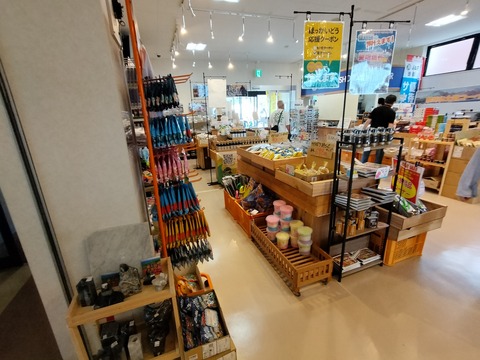 IMG20230701111802