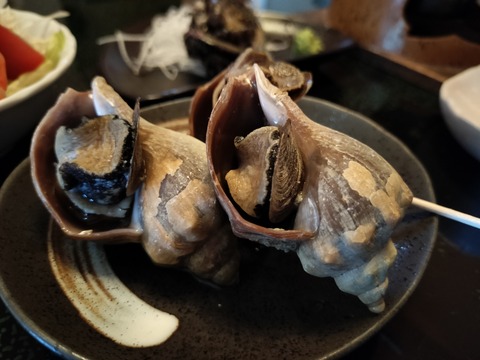 IMG20230625113548