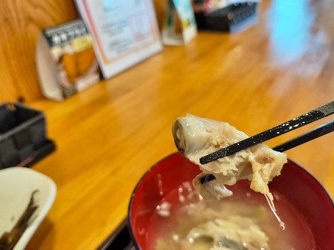 IMG20230416124214