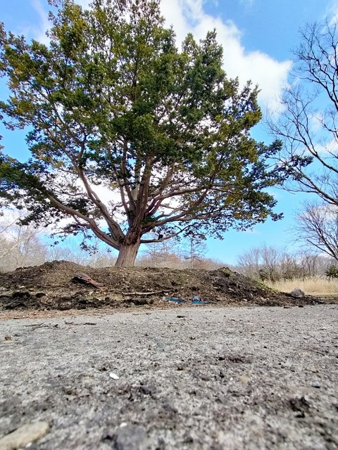 IMG20230402124547