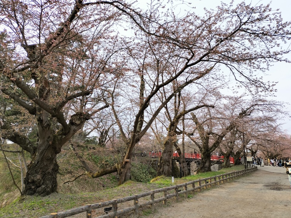 IMG20250419171438
