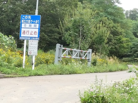 IMG20230815150908