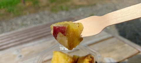 IMG_20220730_131053