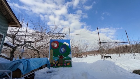 IMG_20221211_123144