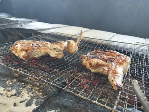 IMG20230527120635