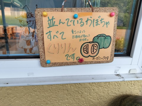 IMG20230909145737