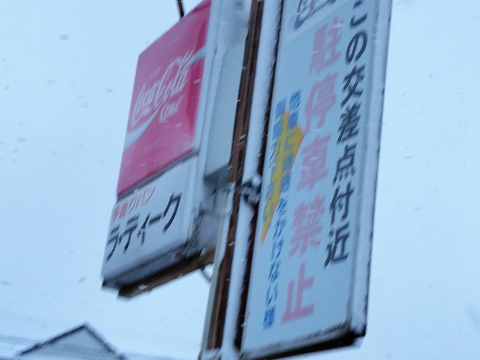 IMG20231125154809