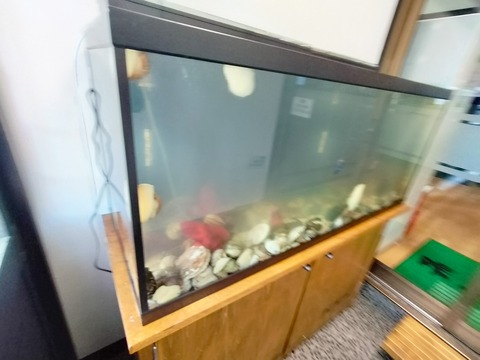 IMG20230402133527