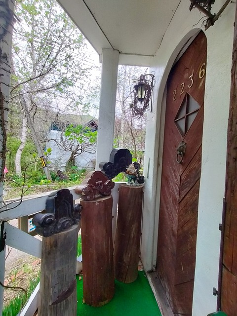 IMG20230503132037
