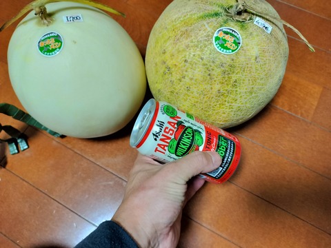 IMG20231001175134