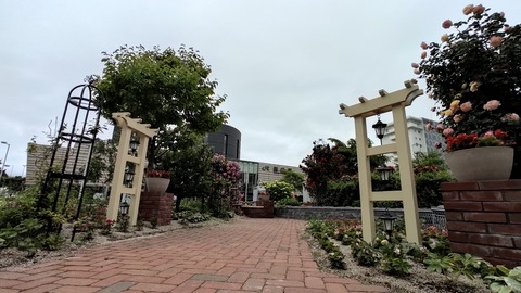 IMG_20220702_132144