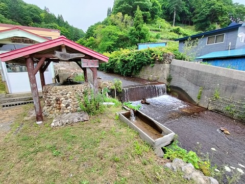 IMG20230722101429