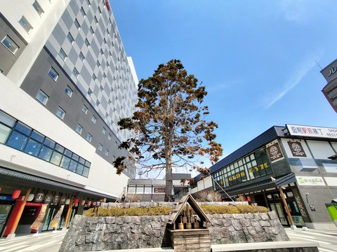 IMG20230513104930