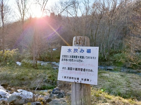 IMG20230401164331
