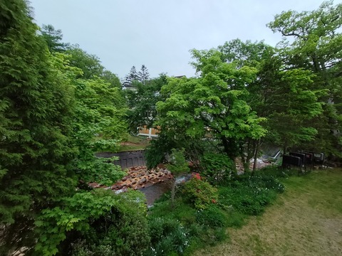 IMG20230528042625