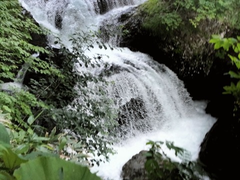 IMG20230716175311
