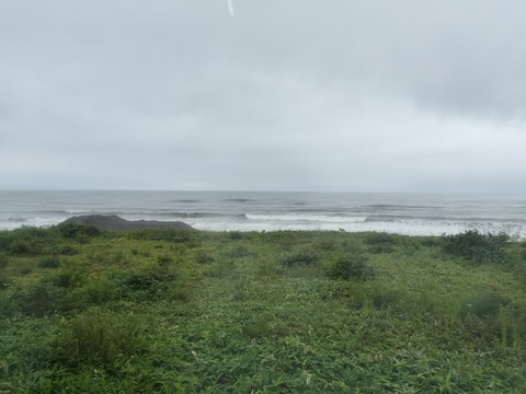 IMG20230813085008
