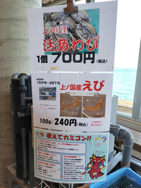 IMG20240127111538