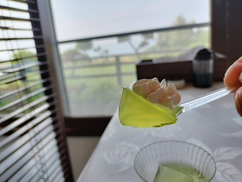 IMG20230527072242