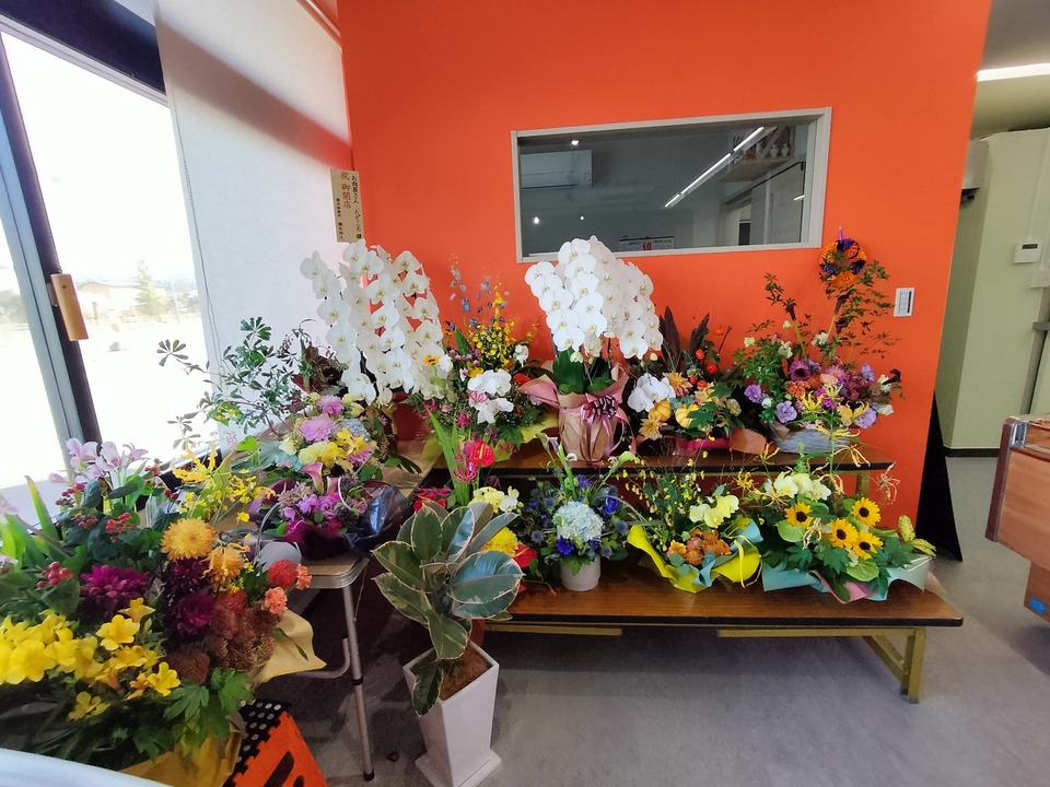 IMG20231014122608