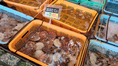 IMG_20211128_125656