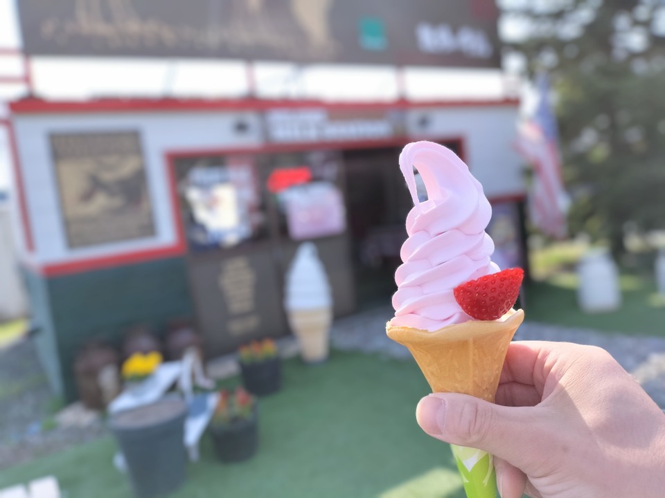 豊浦町にある「こまい牧場直営」の「とぼっくす」さんに伺い 豊浦産の苺が使用されたソフトクリームをキメてきました！