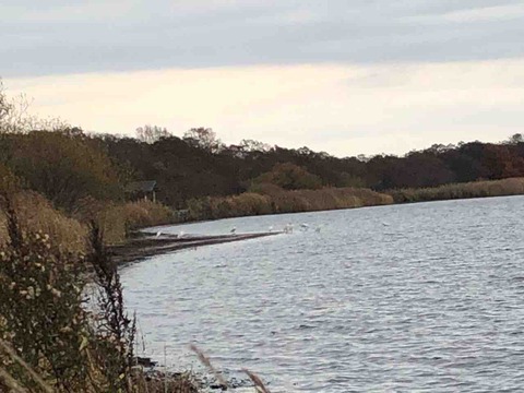 IMG_7924