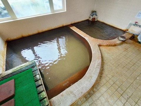 IMG20230504100259
