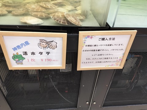 IMG20230715152120
