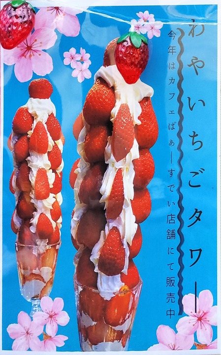 IMG20250419113354~2