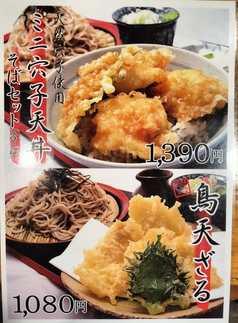 IMG20230509183410~2