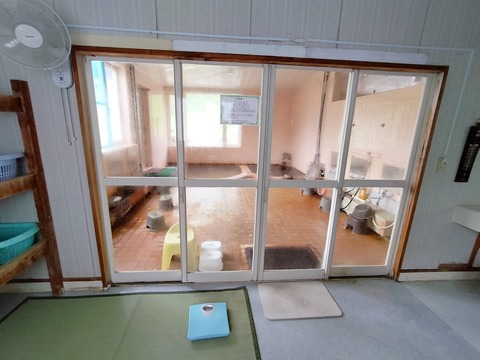 IMG20230504100200