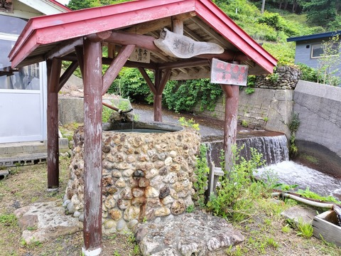 IMG20230722101354