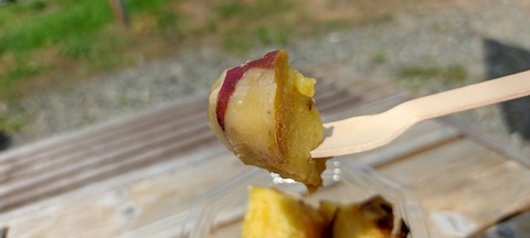 IMG_20220730_131058