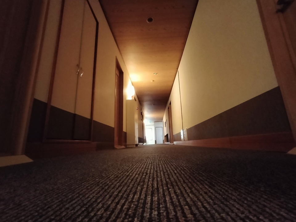 IMG20240210152440