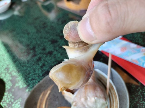 IMG20230514112836