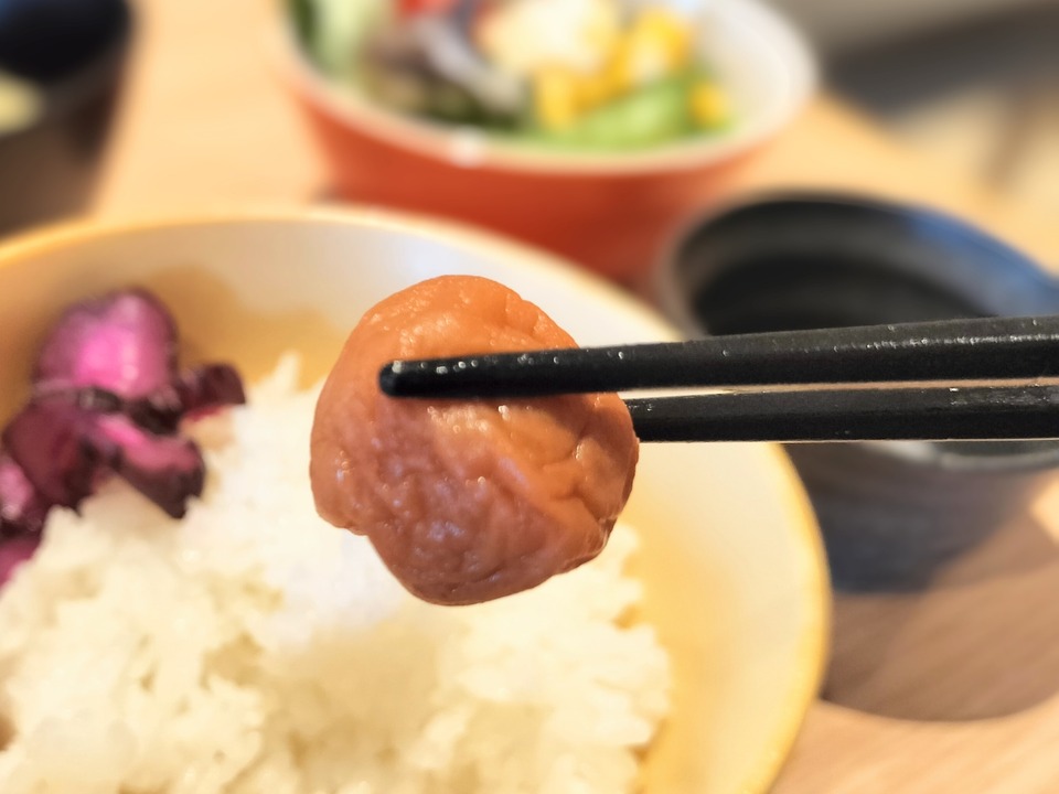 IMG20250406082346~2