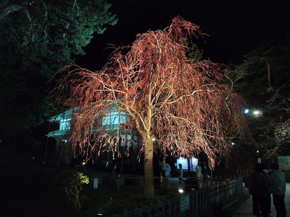 IMG20250419195003
