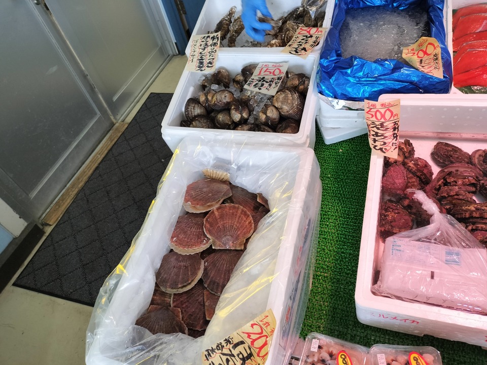 IMG20231014103206