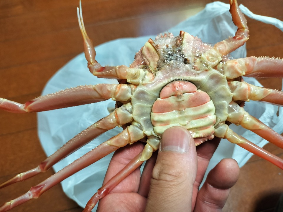 IMG20231014161739