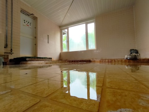 IMG20230504100250