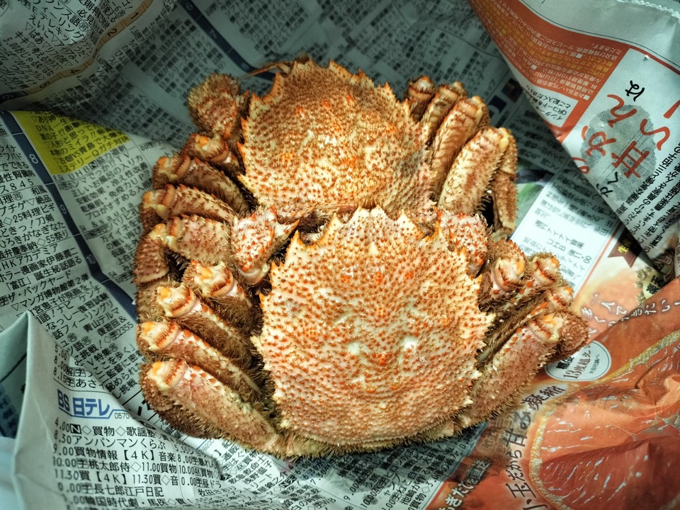 IMG20240316114535