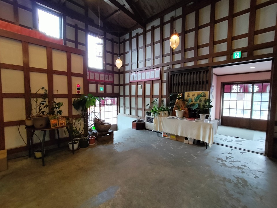 IMG20240210134205