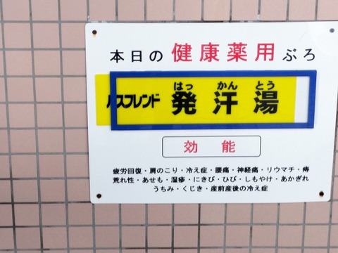 IMG20230408104203