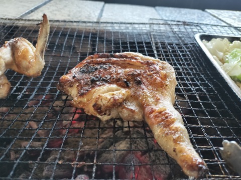 IMG20230527120630