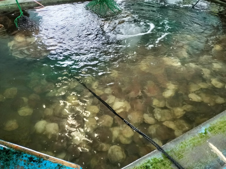 IMG20231029102356