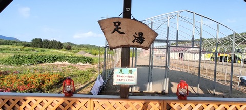 IMG_20220730_170530
